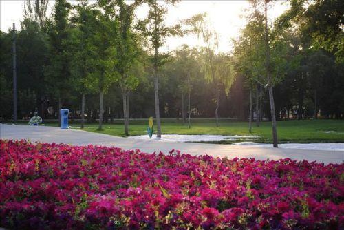 兰州植物园爆料视频最新,奇花异草绽放，生态美景引人入胜